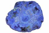 Vivid Blue, Cut/Polished Azurite Nodule - Siberia #94567-1